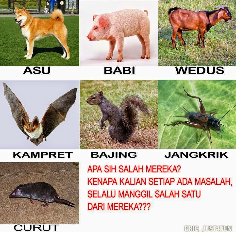 Meme Lucu Syahrini Rudal Radil