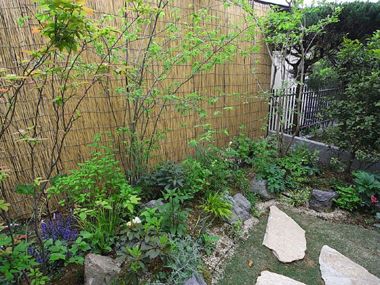 野草と雑木の庭 施工例31 四季を愉しむ山野草と雑木の庭