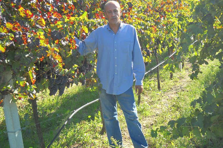 Alessio Di Majo (Di Majo Norante, filosofia bio Il 70% della produzione, venduta all’estero)