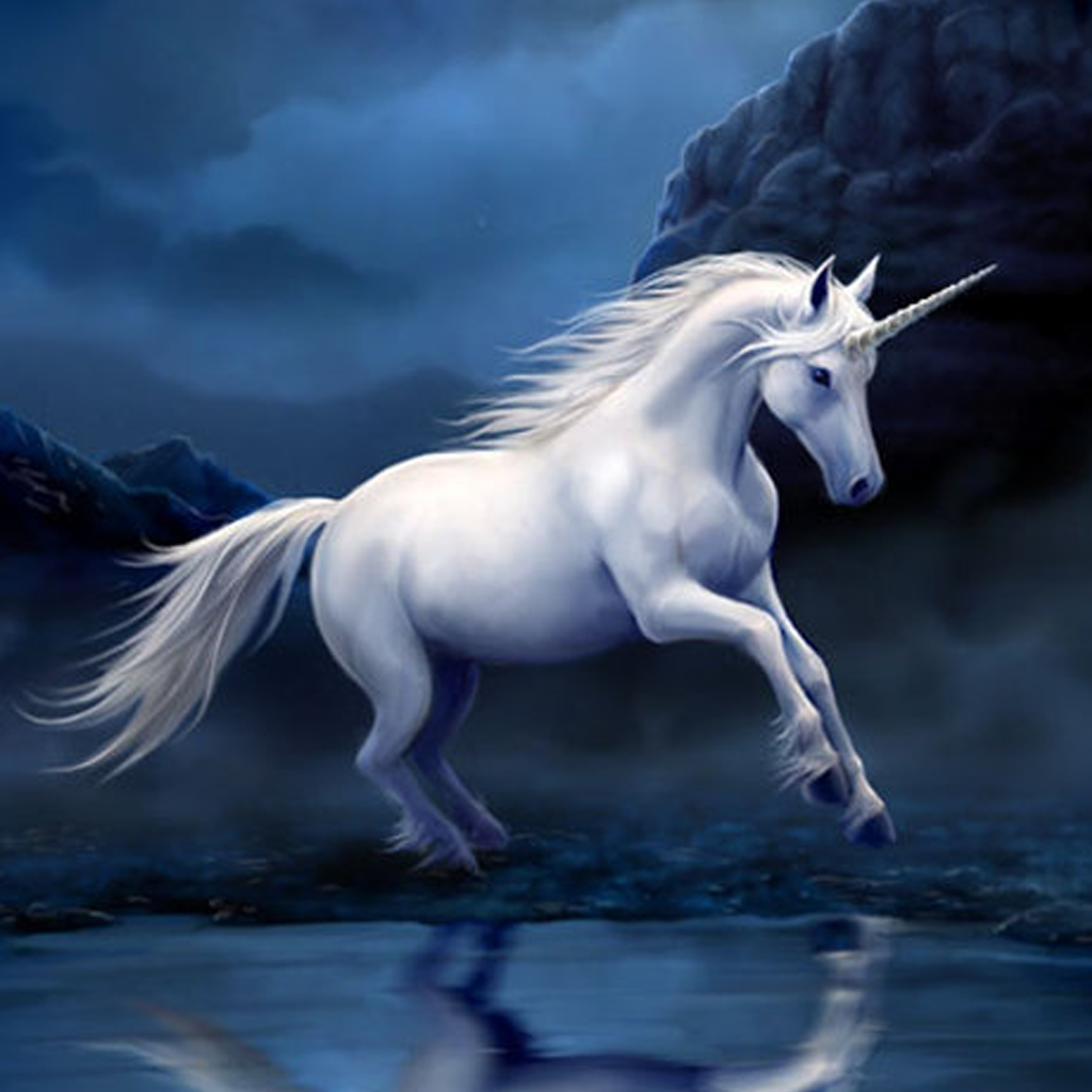 Unicorn Wallpapers HD Best Unicorn Fantasy Art Background Images