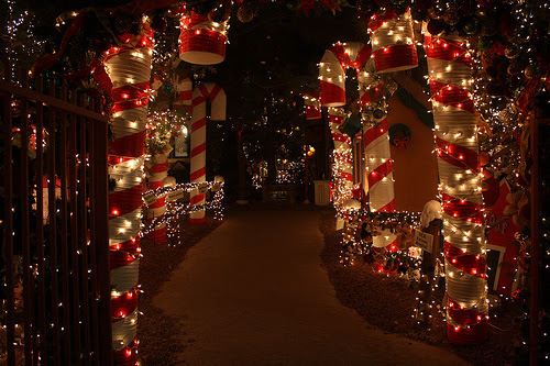 welcome to wonderland