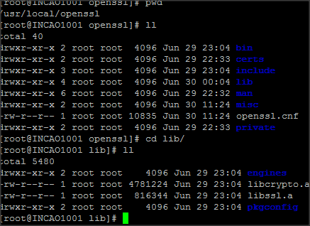 The app can scroll, only after rotating the view does it correct and ...