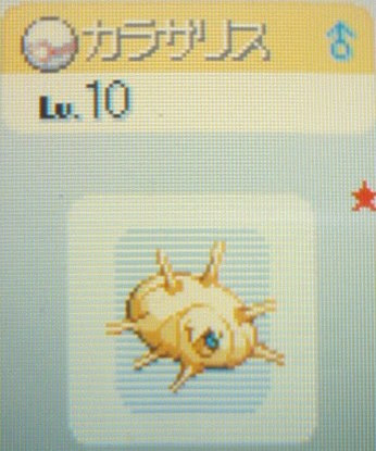 色違いポケモン日記 カラサリス おしろやまこうえん