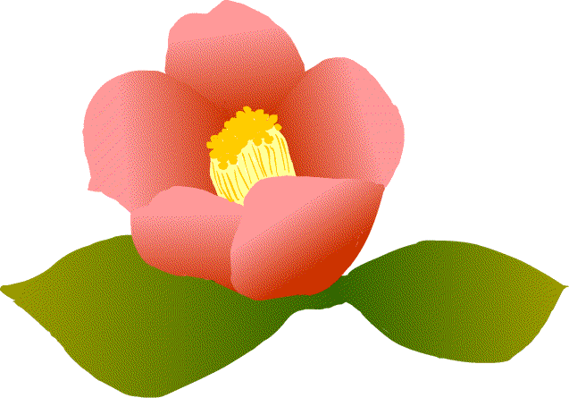 椿 ツバキ イラスト アイコン 無料