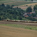 22Jul06 Burg Teck 002