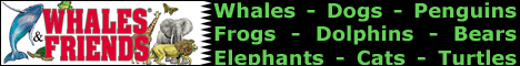 Bring out the animal in you at Whales & Friends