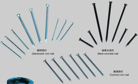 英语俚语天天说第51期 眼中钉 肉中刺pain In The Ass 英语俚语 可可英语