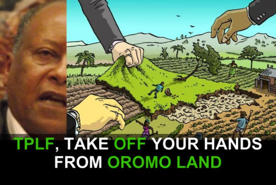 TPLFHandsoffLand20155