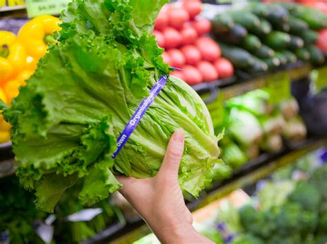 But once economies of scale kick in. 10 protein-rich vegetables you should eat to fight aging