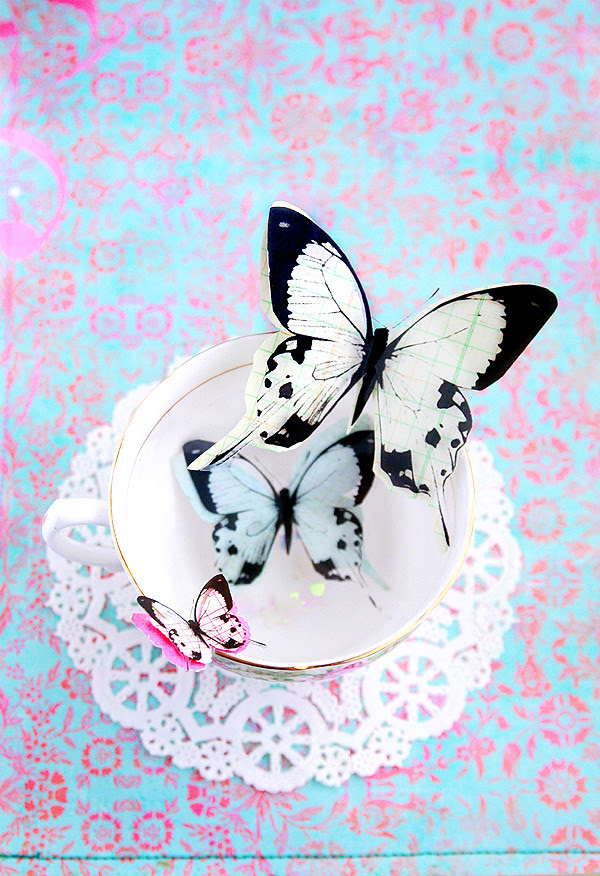 fly away