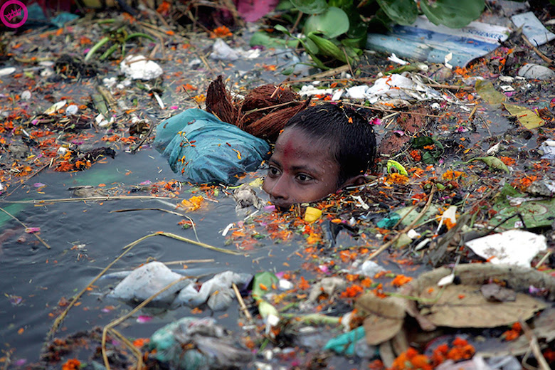 27 Heartbreaking Photos That'll Make You Realise What We ...