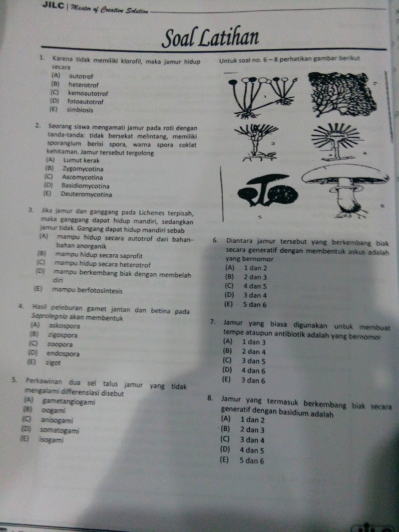 Keren Abis 31+ Hewan Langka Terdapat Di Lembah Terpencil Di Perbatasan Laos Dengan Vietnam Adalah