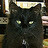 oldblackcatboo's items