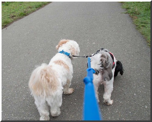 BoysWalkinNice
