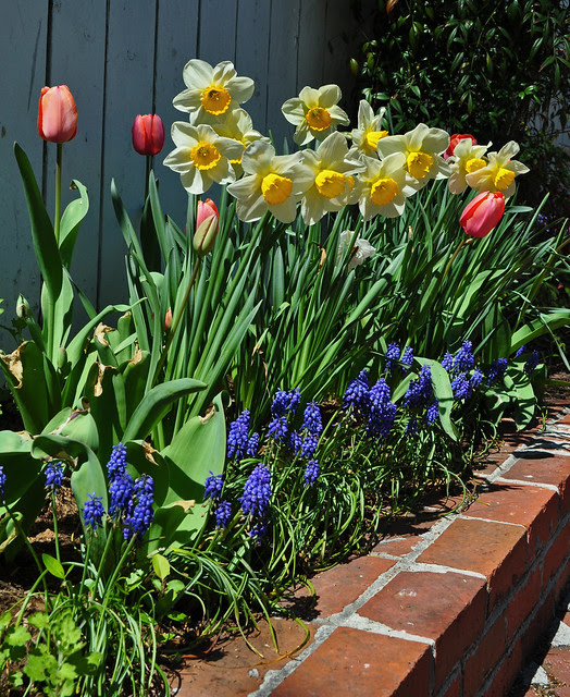 Spring Combo