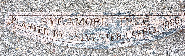 DSC_0039_tree_plaque