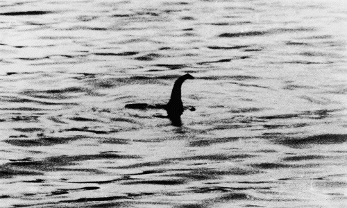 sinh-vat-bien-nghi-co-ho-voi-quai-vat-loch-ness-o-alaska-1