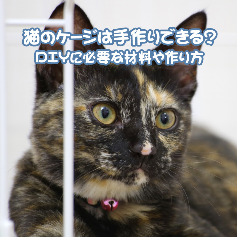 猫のケージは手作りできる？DIYに必要な材料や作り方は？｜猫の総合 