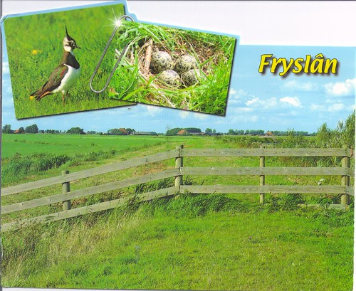 Fryslan Netherlands