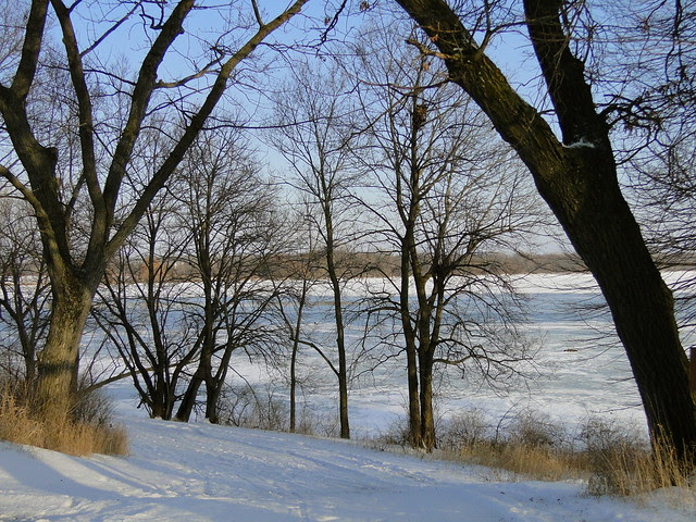 DSC09870