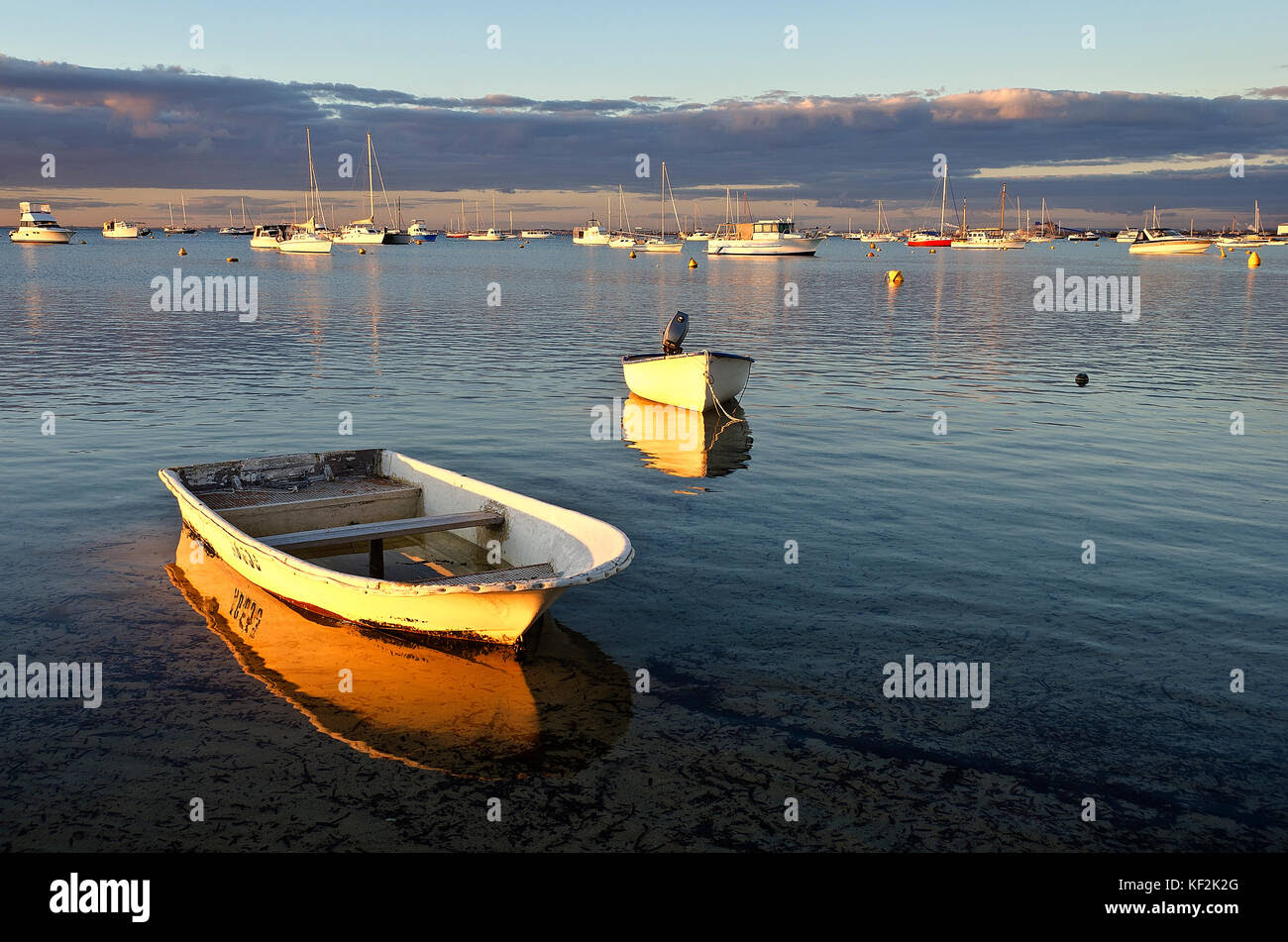 Mangles Stock Photos &amp; Mangles Stock Images - Alamy