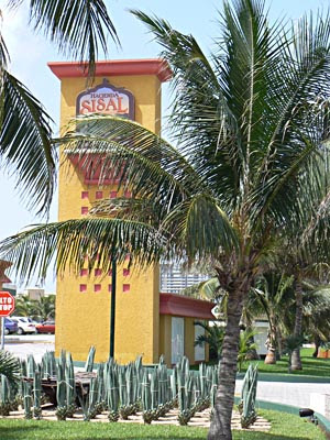 Bâtiment Sisal + agaves.jpg