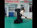 #Aikijo#jodori