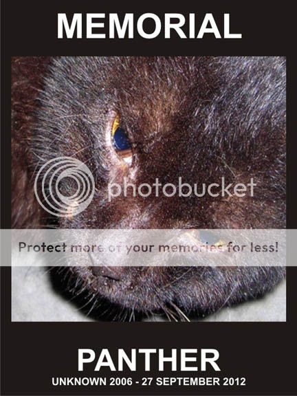 PANTHERRIP27092012