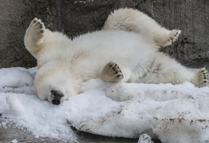 صور من العالم