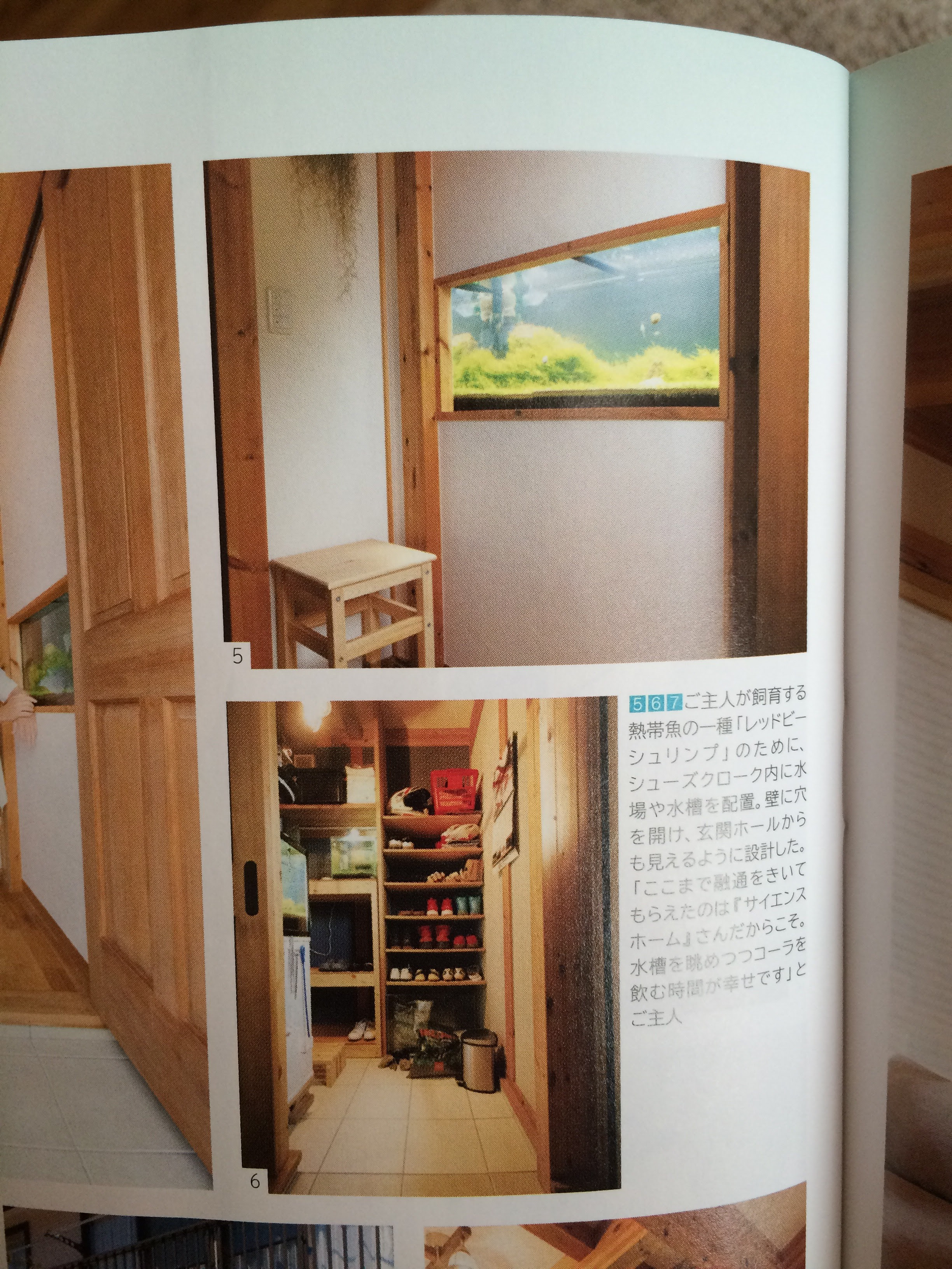 まとめ 水槽部屋が出来るまで 遠州えび本舗