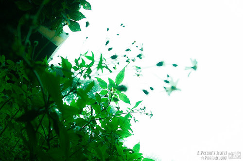 2012_May_Kinmen_Day2_67