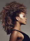 Coupe De Cheveux Metisse