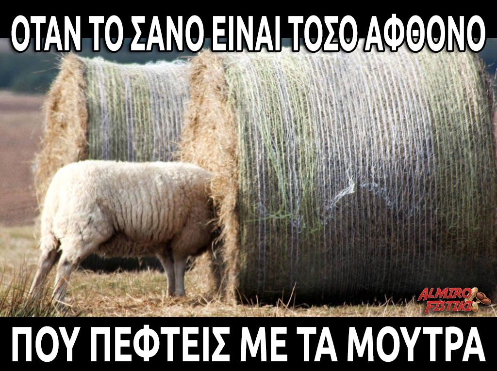 20170415_AlmiroFistiki_plenty.of.hay.jpg