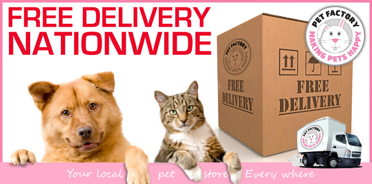 How To Effectively Toilet Train Your Puppy | Pet Factory Blog