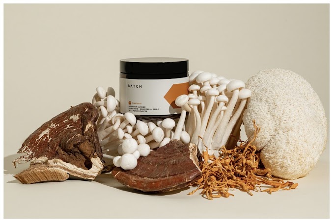 5 Best Cordyceps Supplements: Product Reviews for Optimal Health