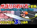 【ベストコレクション】 サヨリ 仕掛け サビキ 445118-サヨリ 仕掛け サビキ