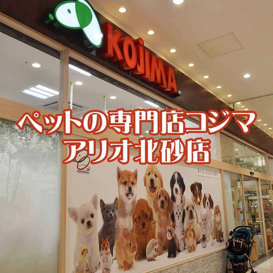 にじいろジーンに登場 都内最大級 ペットのコジマアリオ北砂店へgo 楽しい 便利 なペット専門店