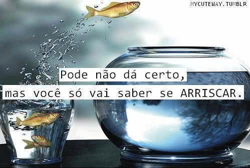Pode Não dá Certo.................................