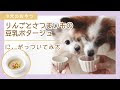 コンプリート！ 犬 おやつ シニア 295322-犬 シニア おやつ 手作り