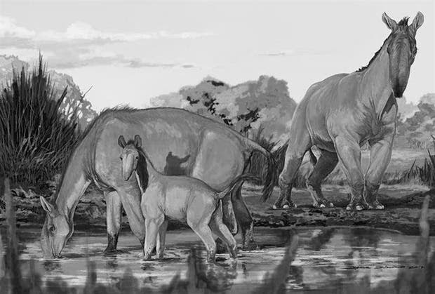 Reconstrucción artística de la Macrauchenia patachónica