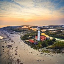 20 fari cercano padrone