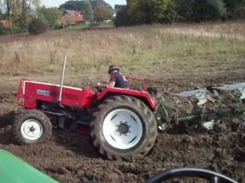 Dauersingle mit 40
