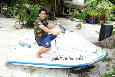 sand ski