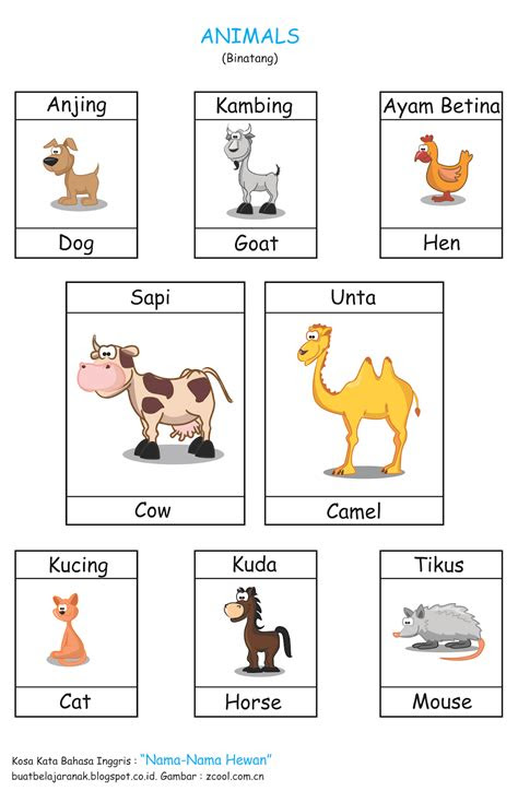 kosa kata nama nama hewan  bahasa inggris buat belajar anak