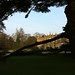iPhone pics 104