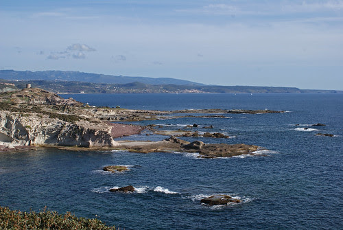 DSC03259