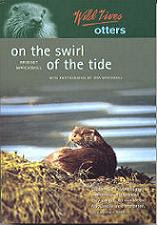 Wild Lives Otters On The Swirl Of The Tide