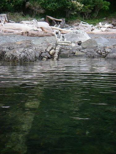 IMGP0571