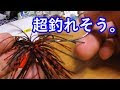 [10000印刷√] ロック フィッシュ ラバージグ 129133-ロックフィッシュ ラバージグ