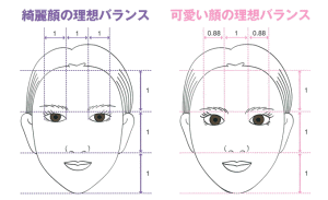 かわいい顔とは お顔の黄金比率や かわいい顔 の特徴をご紹介 小顔矯正を東京 大阪でするなら 小顔製作所 にお任せ